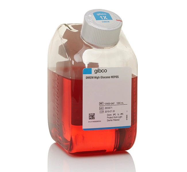 Gibco DMEM, high glucose, HEPES